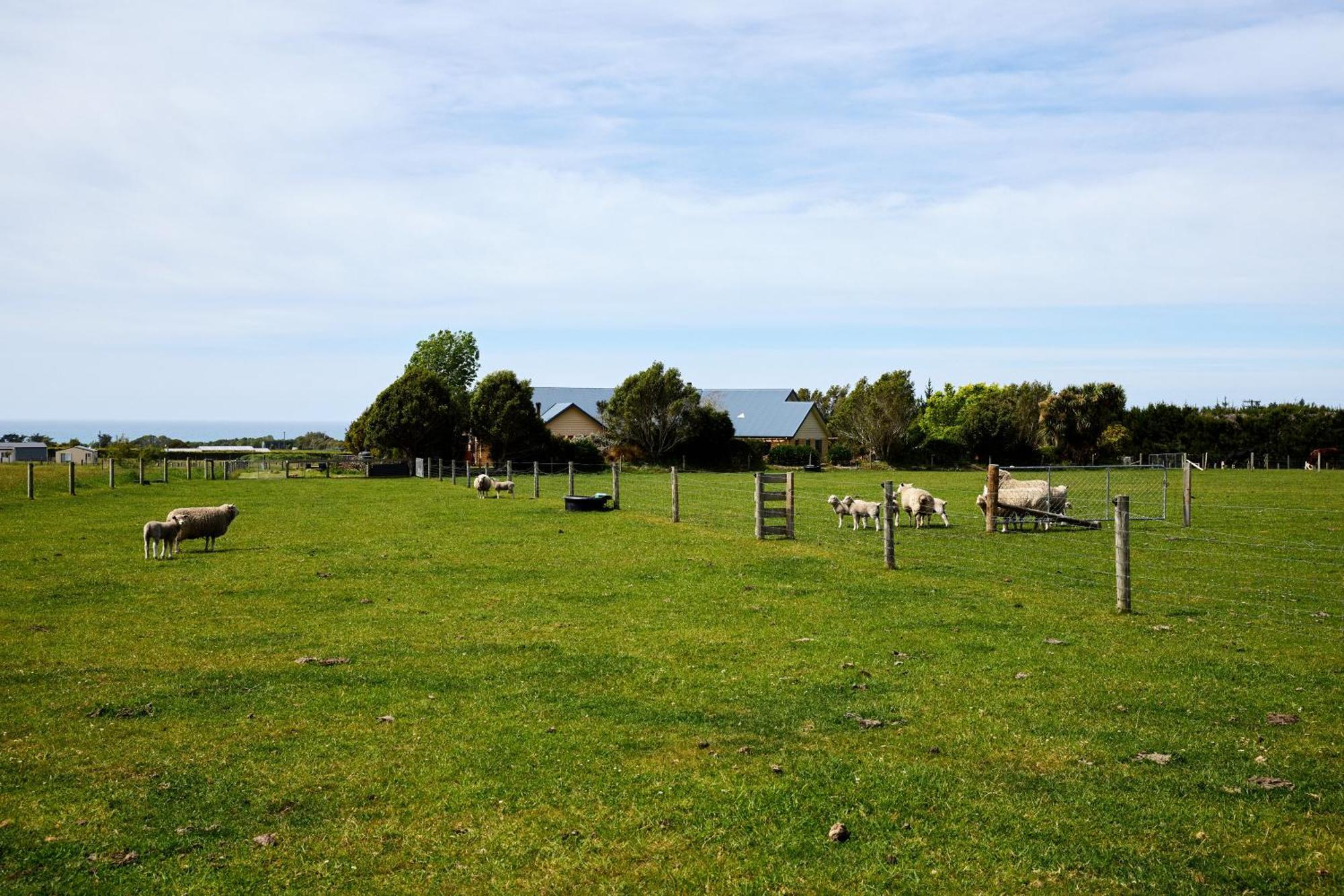 Awatea Country Bed & Breakfast Kaikoura Exterior photo