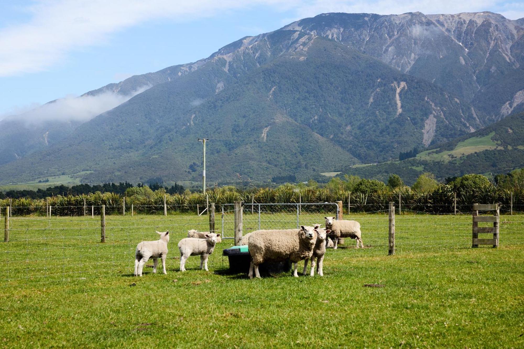 Awatea Country Bed & Breakfast Kaikoura Exterior photo